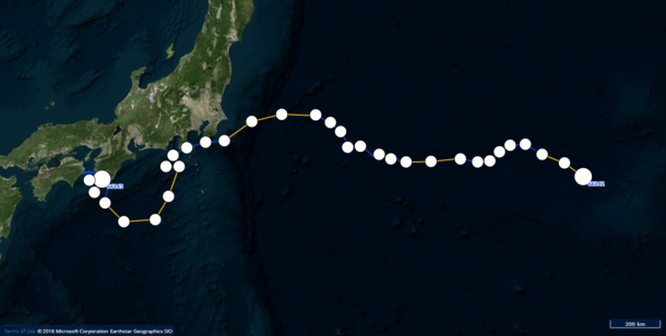 2018.12.30 うめ15時.png