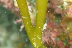 0404 なぞの２.jpg