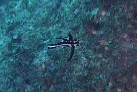 1124 ホホスジ.jpg