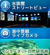 ストリートビューとライブカメラ