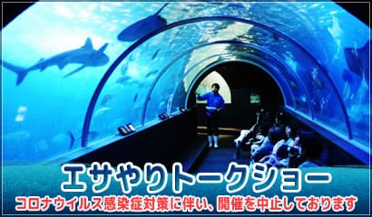 エサやりトークショー