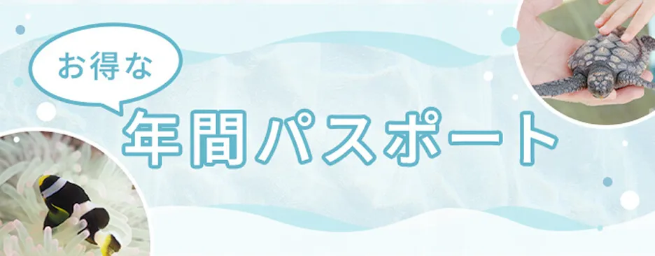 年間パスポート