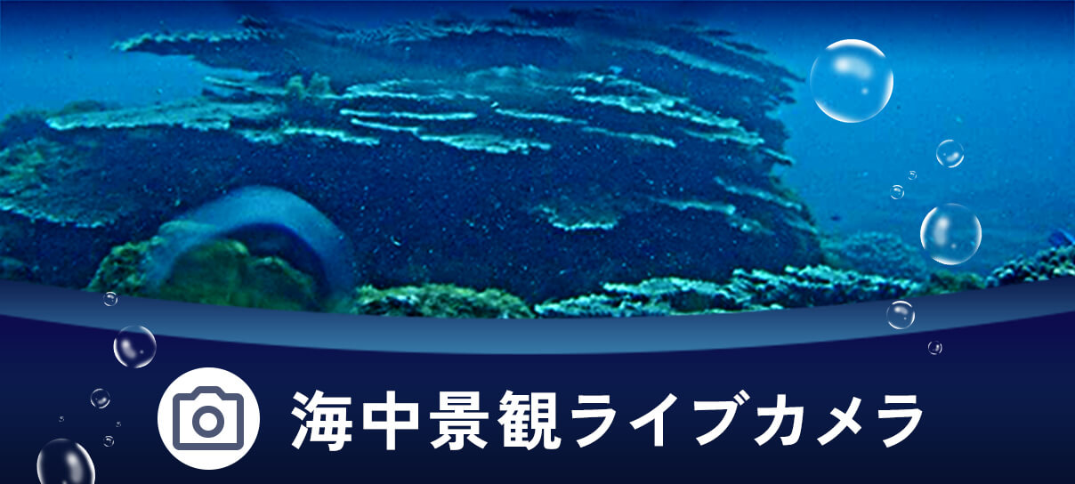 海中景観ライブカメラ