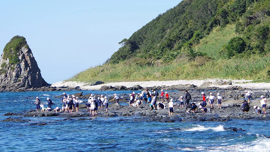潮だまりで水遊びと生き物観察