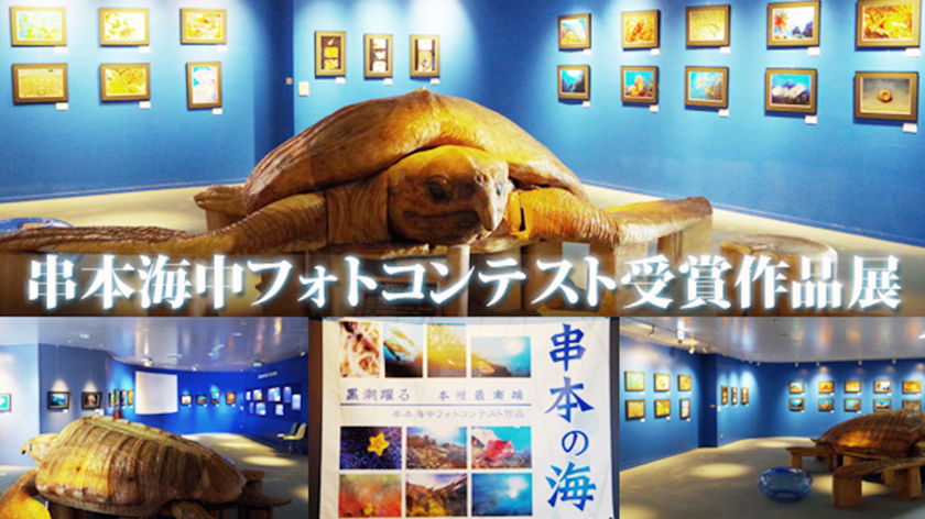 特別展：串本海中フォトコンテスト受賞作品展