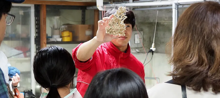 バックヤードツアー