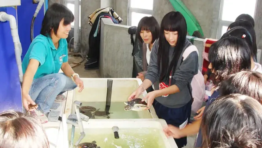 水族館飼育体験