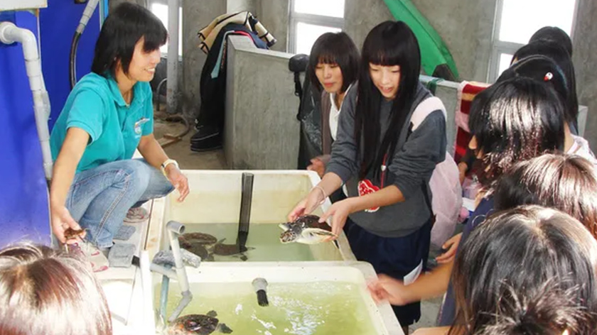 水族館飼育体験