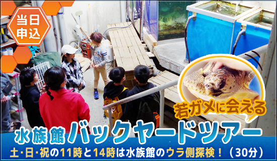 バックヤードツアー