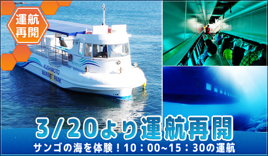 海中観光船ステラマリス