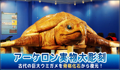 アーケロン実物大彫刻