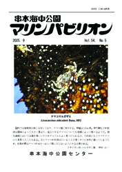 25.9 ナマコマルガザミ.jpg