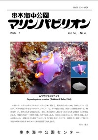 55-4さむね.jpg