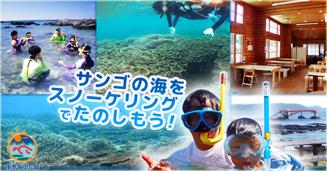 イベント＆新着情報 | イベント＆新着情報｜串本海中公園