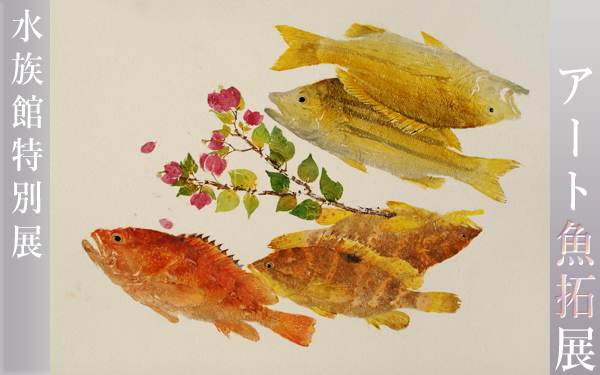 web_pics_gyotaku2.jpg