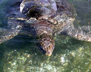 �A�I�E�~�K��