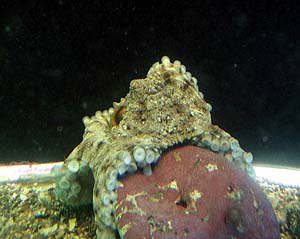 �������_�R