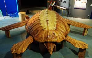 アーケロンバック