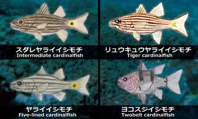 生物紹介