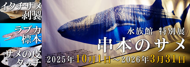 ���{�̃T��