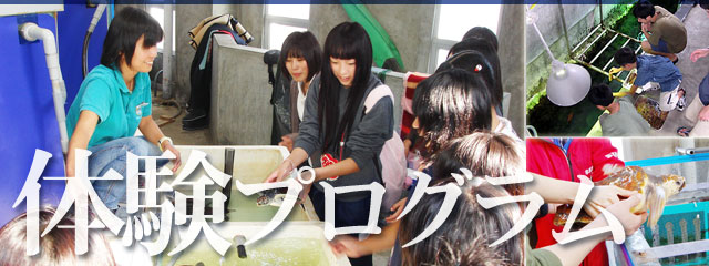 �̌��v���O����