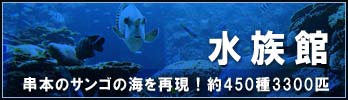 本州最南端の水族館串本海中公園の水族館