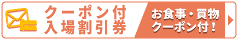 クーポン付入場割引券