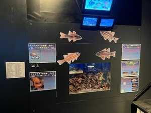 テンジクダイ.jpgのサムネール画像